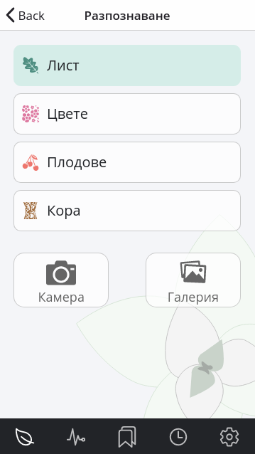 Screenshot of mobile application